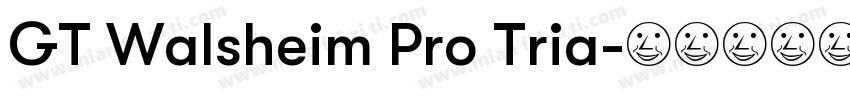 GT Walsheim Pro Tria字体转换